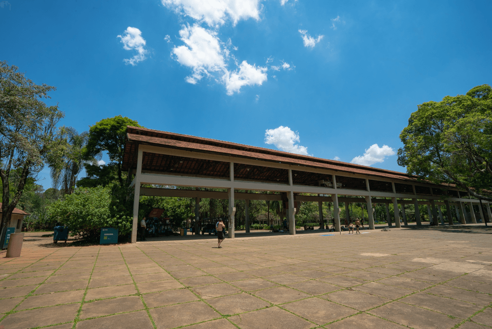 Evento "Amar Elo que Salva Vidas" no Parque Ibirapuera Promove a Conscientização sobre o Suicídio